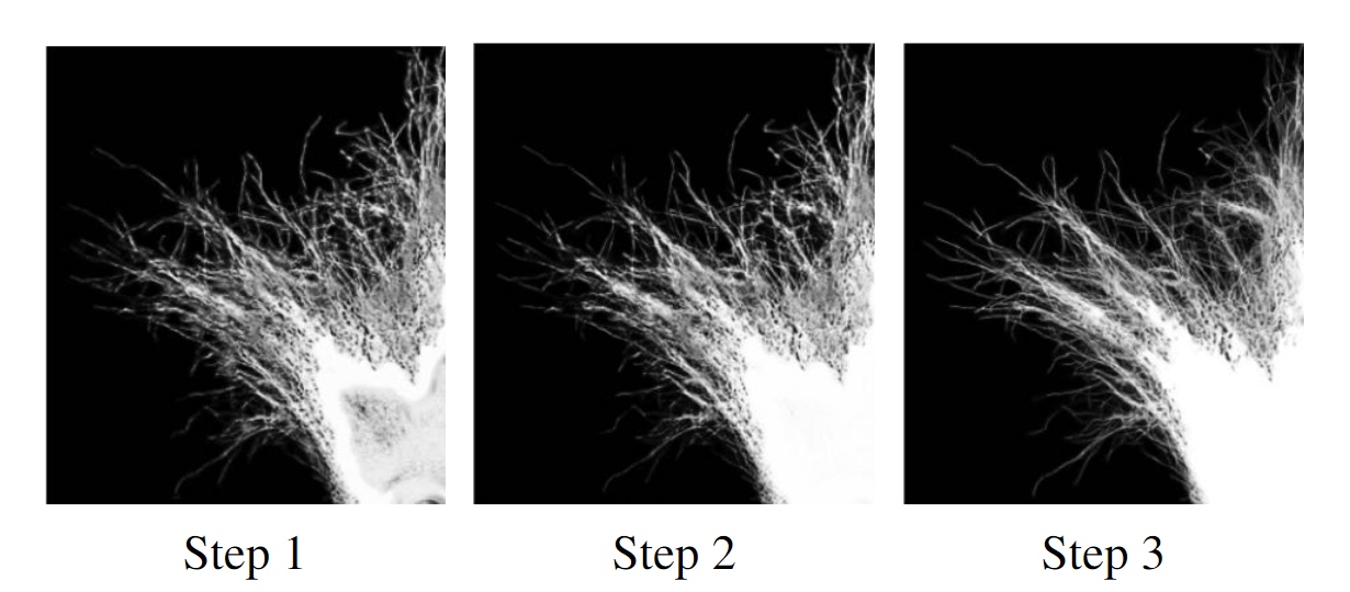 Figure 3. Visualization of the propagation intermediate alpha mattes. Artifacts are gradually removed and the hair progressively becomes clearer and more distinguishable.